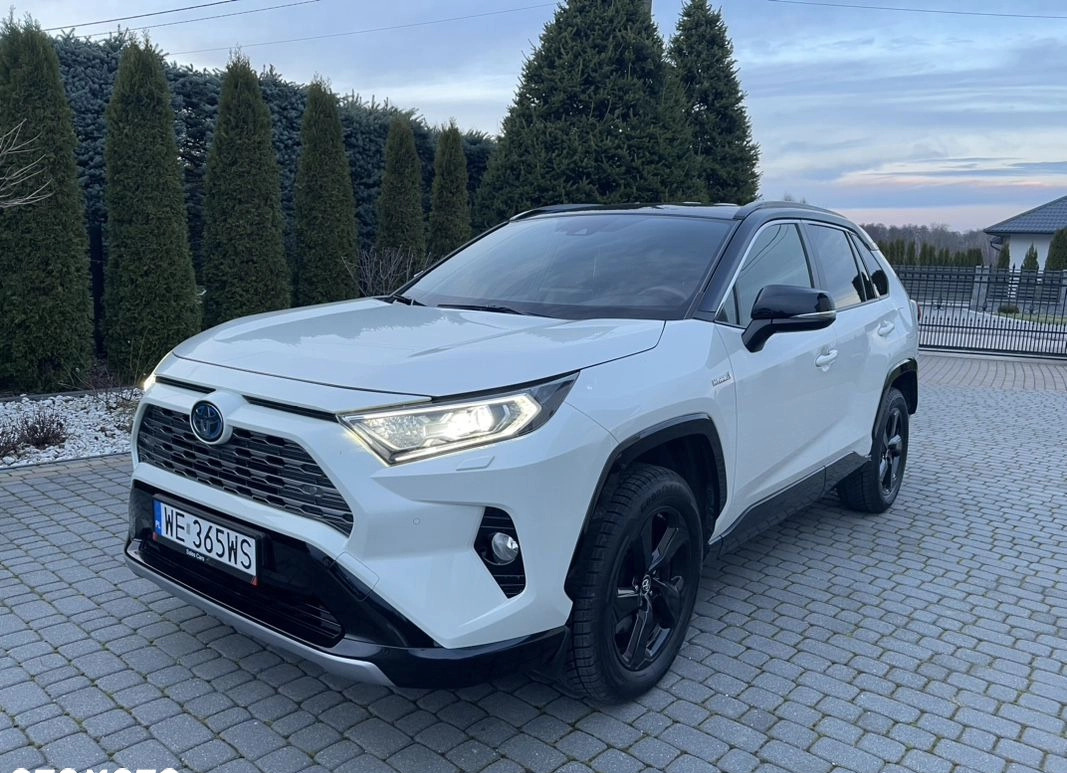 Toyota RAV4 cena 144900 przebieg: 84000, rok produkcji 2019 z Pajęczno małe 704